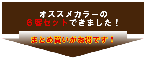 オススメカラーの6客セットできました