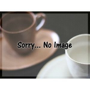 【販売終了】【oji/オージ】ウォータードリッパー WD-300RG（Gold model）