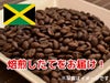 【コーヒー豆】ブルーマウンテン No1 (生豆時105g×3袋)