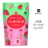 【Tokyo Tea Trading】 Mug&Pot イチゴ東方美人茶 649