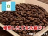 【コーヒー豆】グァテマラ ゴールデンバレンシア (生豆時105g×3袋)