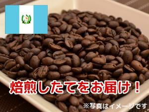 【コーヒー豆】グァテマラ カフェインレス (生豆時105g×3袋)